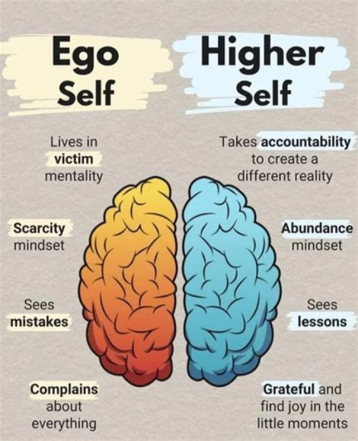 Ultimate Guide to All Hub Movies: Exploring the World of Adult Cinema