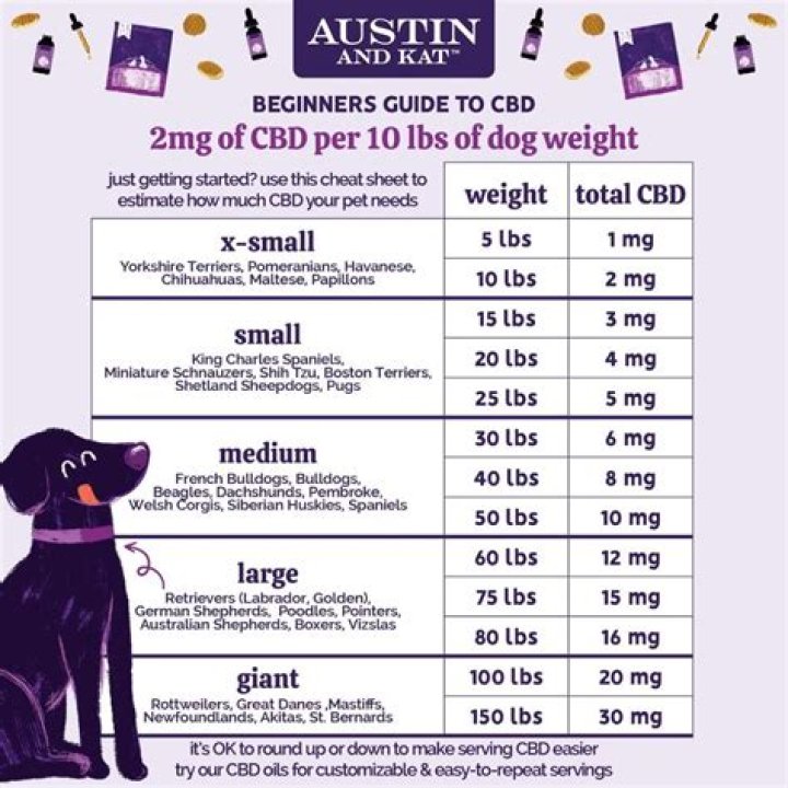 How Is CBD Helpful For Your Dog?