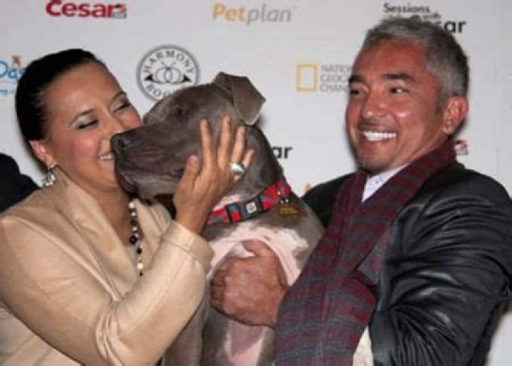 Where Is Ilusion Millan Now? Everything About Cesar Millan’s Wife