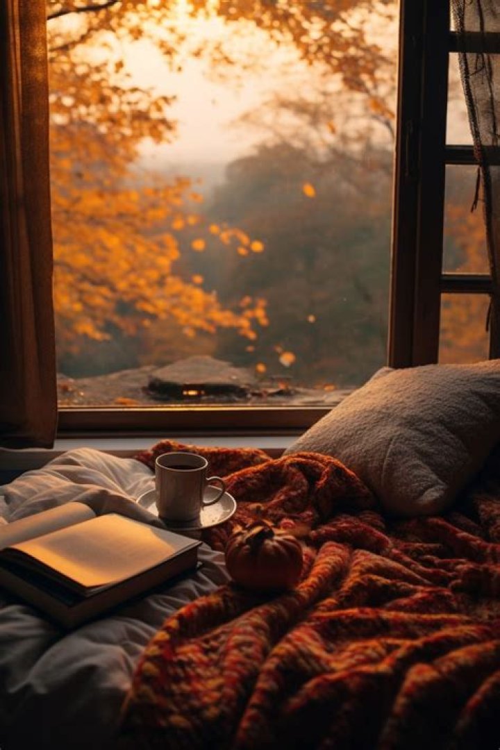 Your dreamiest autumn reading aesthetic, right this way...